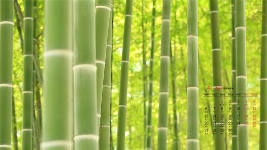 图片 _ 第(4)张