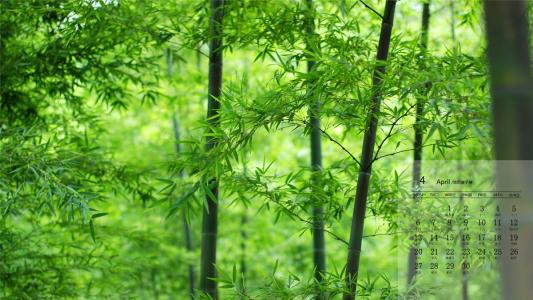 图片 _ 第(6)张