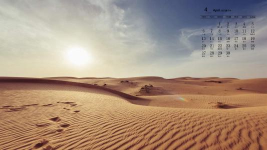 沙漠图片 _ 第(8)张