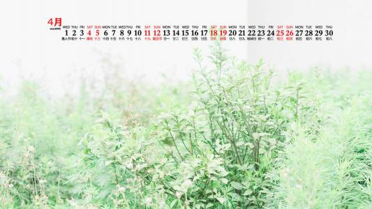 唯美清新绿色植物花卉高清摄影素材图片欣赏第1张