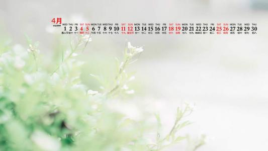 唯美清新绿色植物花卉高清摄影素材图片欣赏第2张