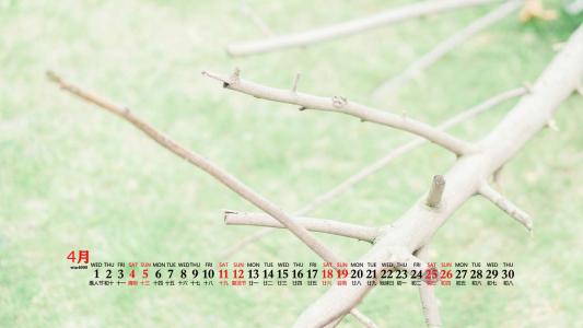 唯美清新绿色植物花卉高清摄影素材图片欣赏第6张