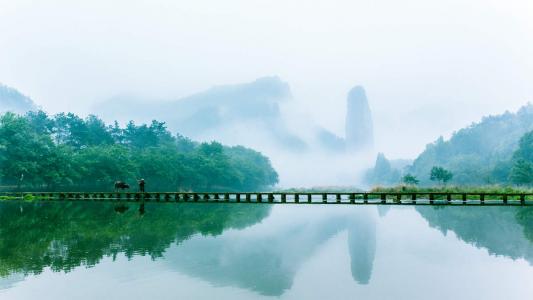 绿色护眼田园风光图片高清壁纸第6张