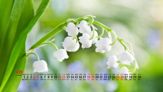 清新桌面图片 _ 第(5)张