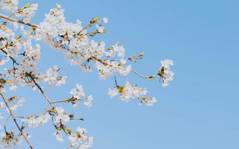 美丽风景图图片 _ 第(2)张