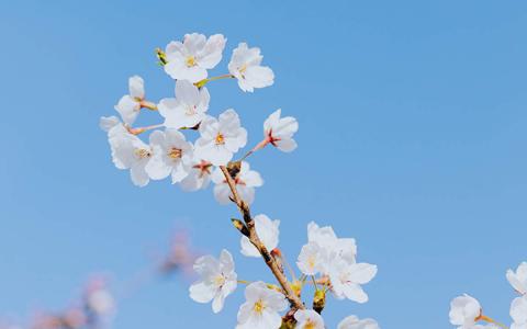 美丽风景图图片 _ 第(3)张
