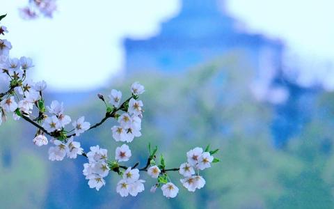 图片 _ 第(4)张