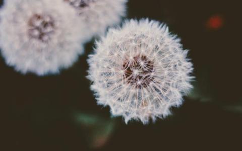 图片 _ 第(4)张