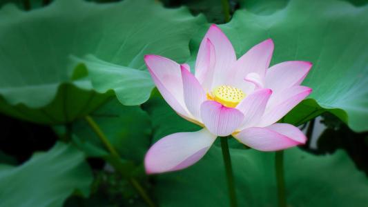 图片 _ 第(3)张