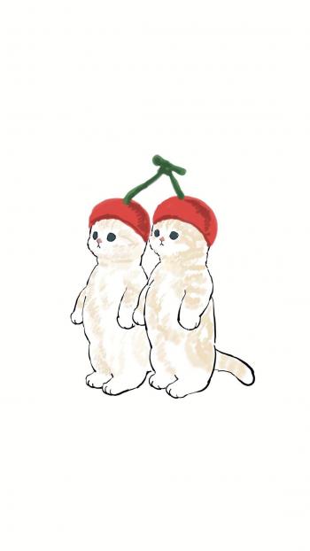 超可爱小猫图片高清手机壁纸第6张