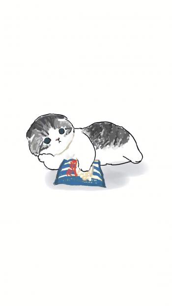 小猫图片 _ 第(8)张