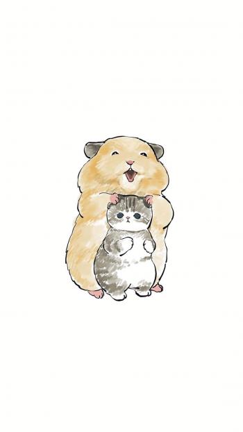 小猫图片 _ 第(8)张