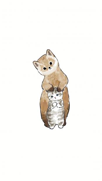 小猫图片 _ 第(9)张