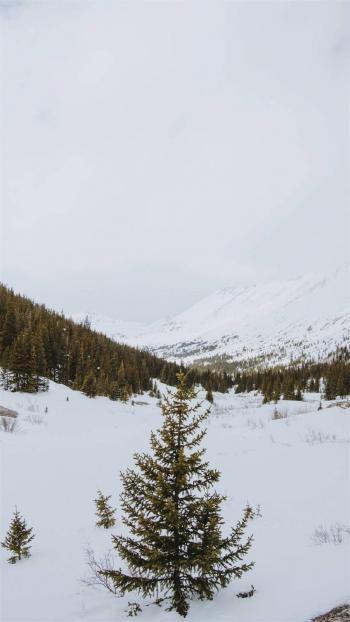 唯美冬日雪景图片手机壁纸第5张