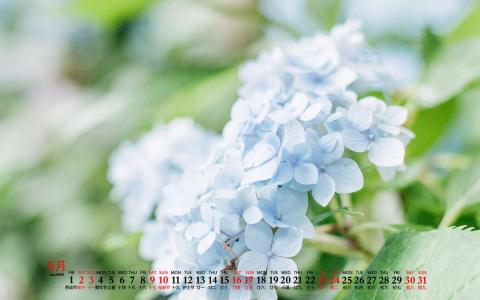 电脑桌面图片 _ 第(2)张