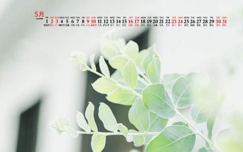 电脑桌面图片 _ 第(6)张