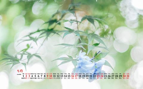 清新桌面图片 _ 第(7)张