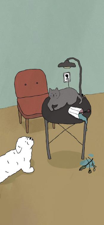 超可爱小猫图片高清手机壁纸第0张