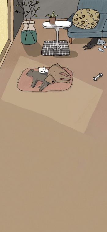 超可爱小猫图片高清手机壁纸第6张