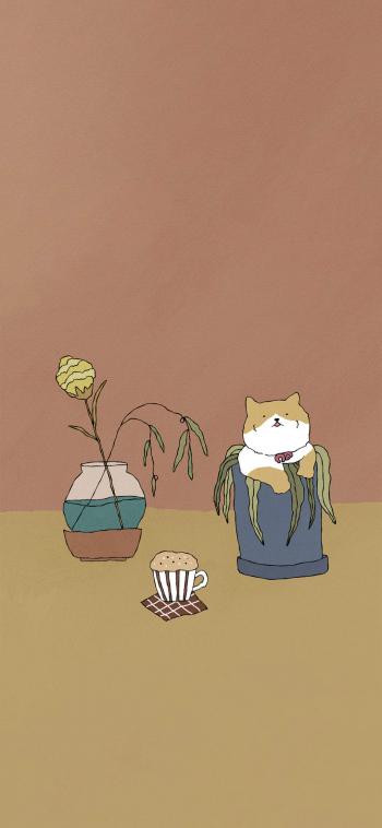 小猫图片 _ 第(8)张