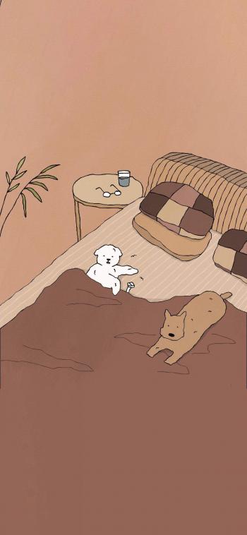 小猫图片 _ 第(9)张