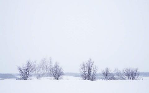 雪景图片 _ 第(6)张