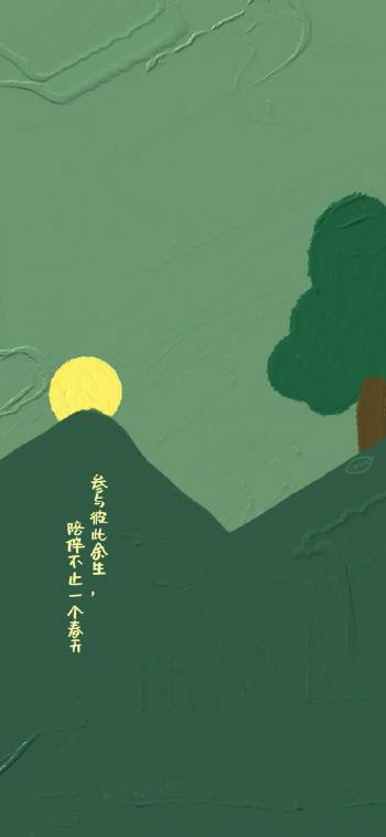 第0张
