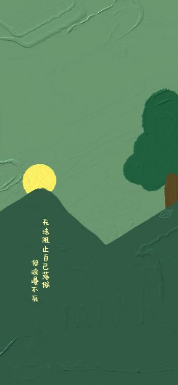 第1张