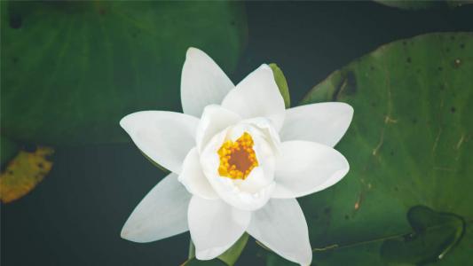 图片 _ 第(6)张