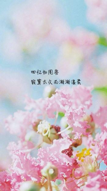 唯美意境图片 _ 第(3)张