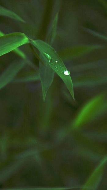 护眼图片 _ 第(2)张