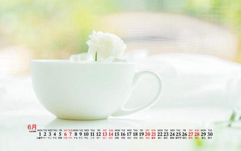 2020年9月绿色小清新桌面日历壁纸第5张