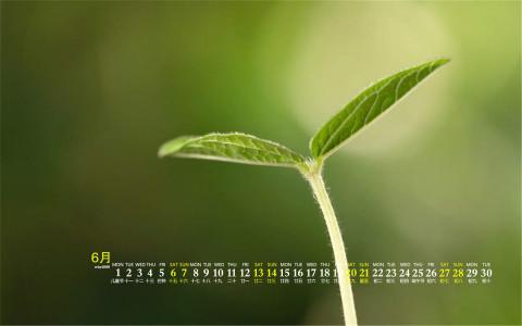 图片 _ 第(4)张