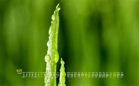 嫩芽第5张