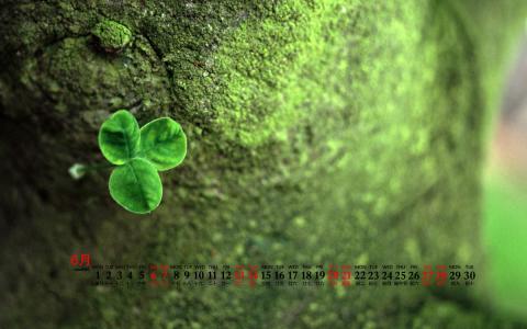 唯美清新绿色植物花卉高清摄影素材图片欣赏第6张