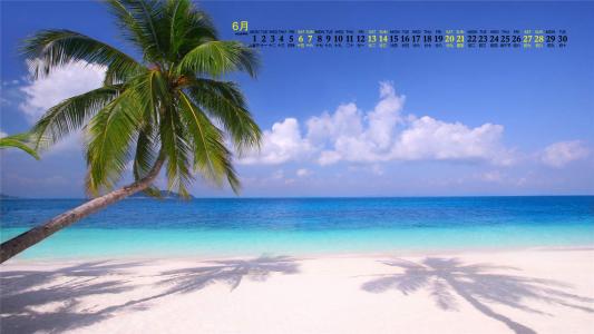 旧金山海边的浪漫情人节第0张