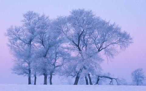 冯若绮清新雪景写真图片第0张