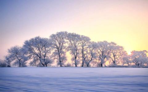 冯若绮清新雪景写真图片第2张
