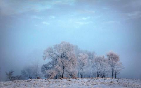 冯若绮清新雪景写真图片第4张