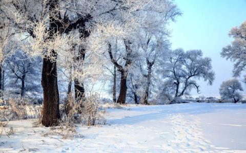 冯若绮清新雪景写真图片第6张