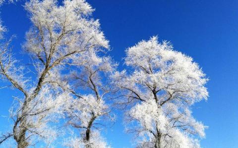 雪景图片 _ 第(8)张