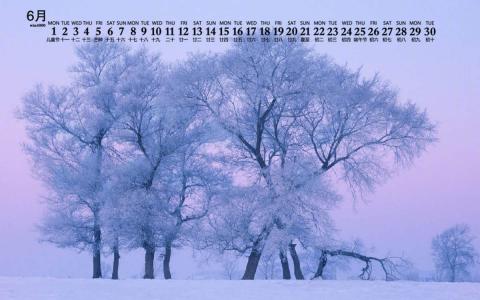 王丽坤清纯靓丽雪景写真图片第0张
