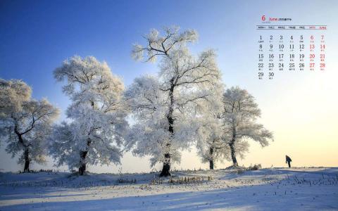 王丽坤清纯靓丽雪景写真图片第5张
