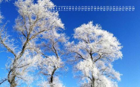 雪景图片 _ 第(8)张