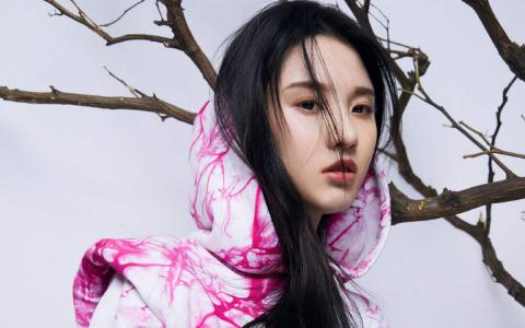 张慧雯图片 _ 第(3)张