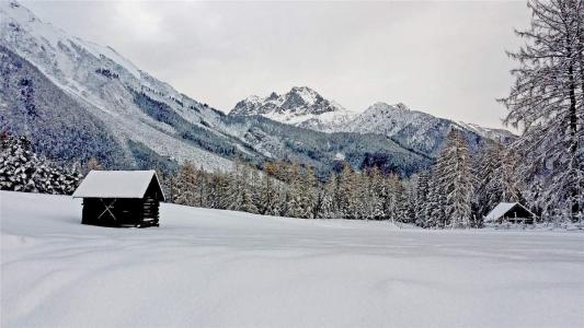 2016年11月日历冬天树木白雪风景精选壁纸下载第4张