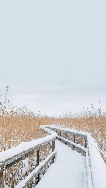 唯美冬日雪景图片手机壁纸第4张