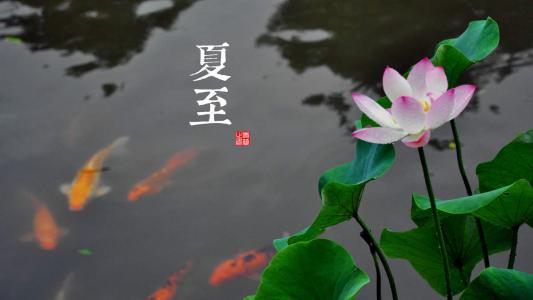 电脑壁纸高清图片 _ 第(8)张