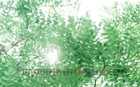 2020年11月帆布鞋草地草帽清新桌面日历壁纸第3张