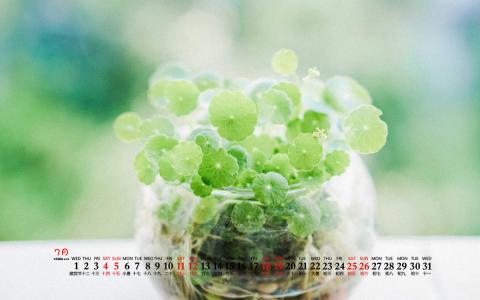 2020年9月绿色小清新桌面日历壁纸第1张